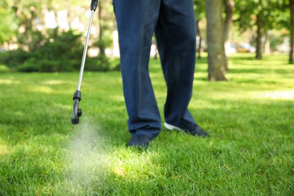 Saint George Lawn Treatment
