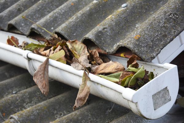 Saint George Gutter Cleaning