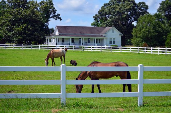 Saint George Fence Service